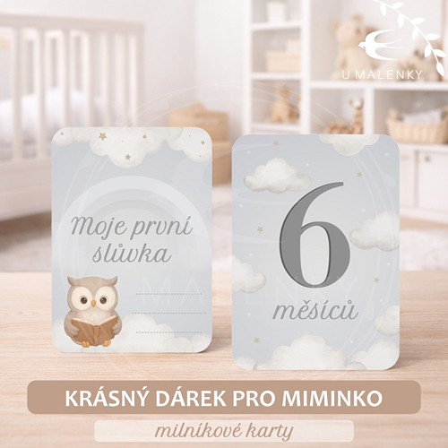 Milníkové kartičky pro miminko — foto 2
