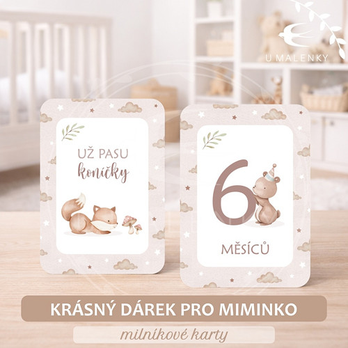 Milníkové kartičky pro miminko — foto 2