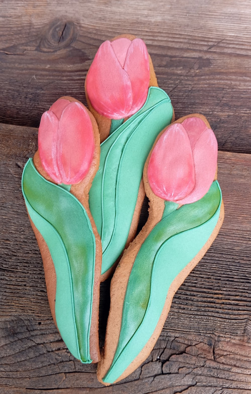 Tulipány — foto 6