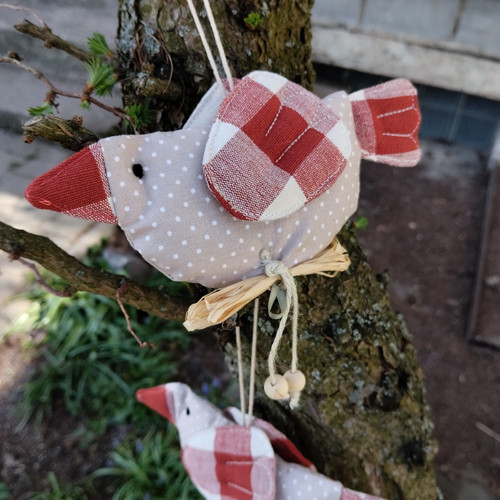 Ptáčci — foto 4