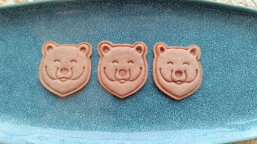Medvěd grizzly - set — foto 5