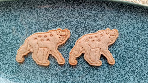 Hyena - set — foto 5