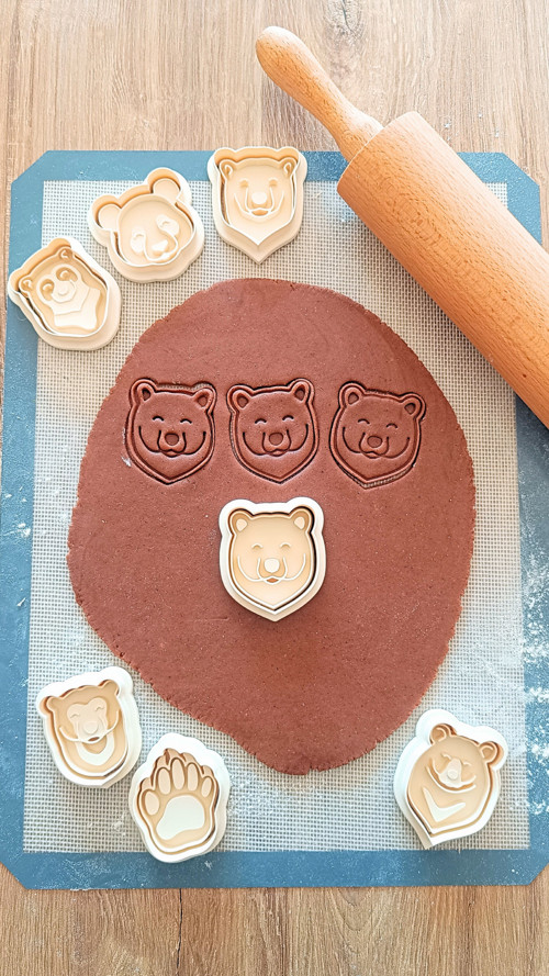 Medvěd grizzly - set — foto 4
