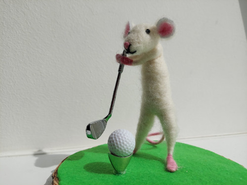 Myšky sportovci — foto 2