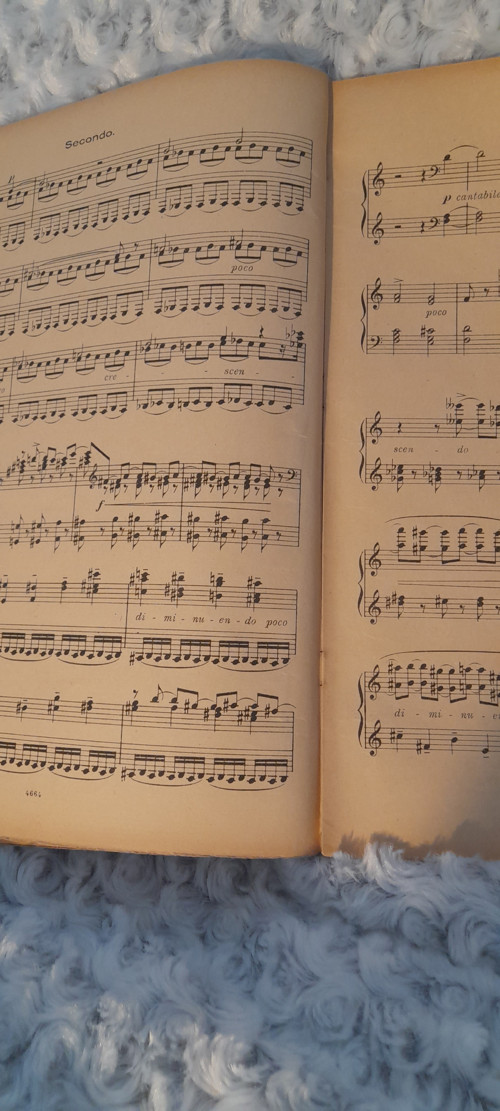 Symphonie pathétique — foto 2