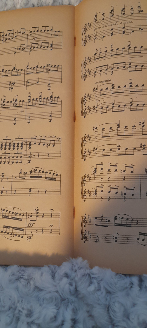 Symphonie pathétique — foto 5