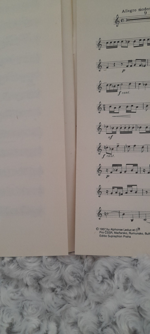 Bohuslav Martinů — foto 4