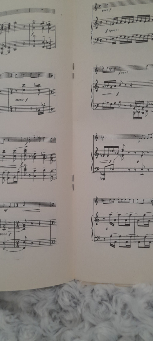 Bohuslav Martinů — foto 2