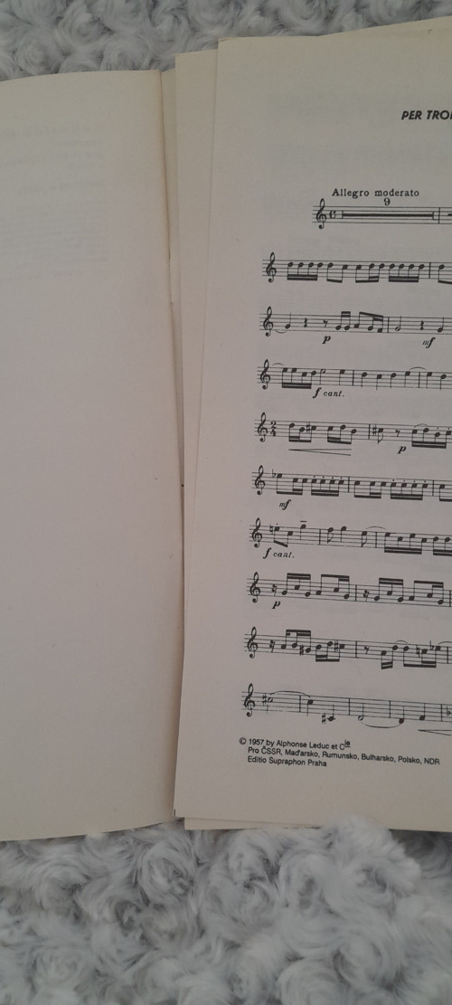 Bohuslav Martinů — foto 3