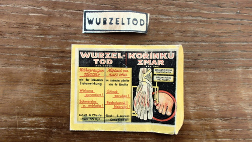 Kořínků zmar — foto 3