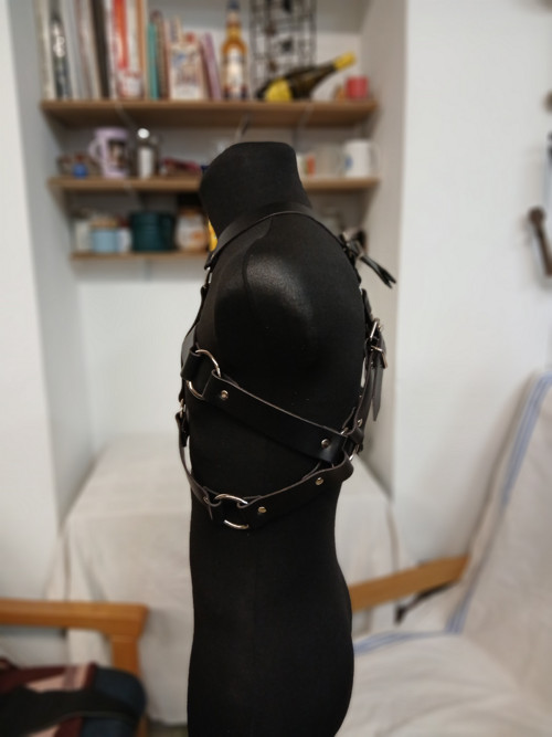 Pánský postroj BDSM — foto 3