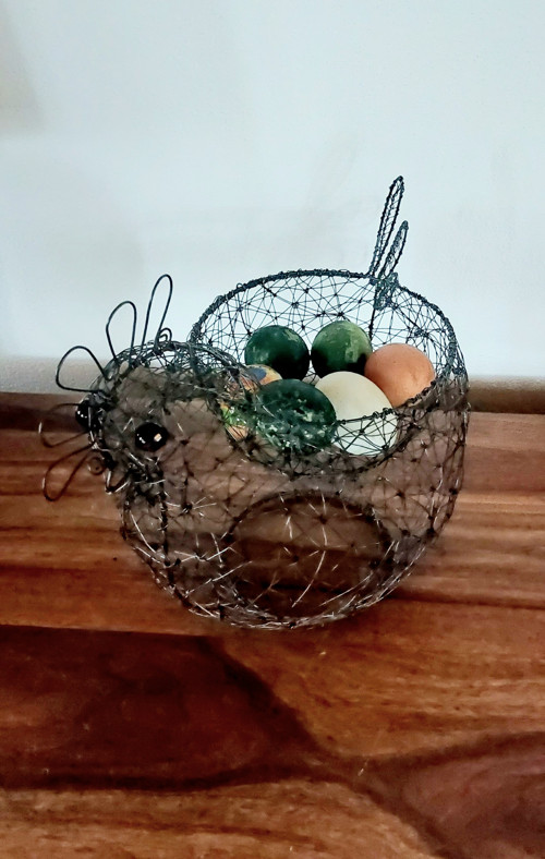 Drátovaná slepice — foto 3