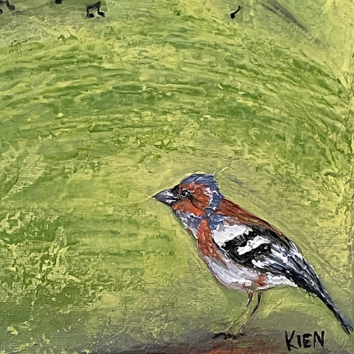 Pěnkava — foto 3