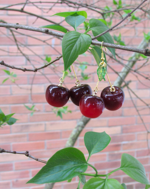 Třešně IV — foto 3