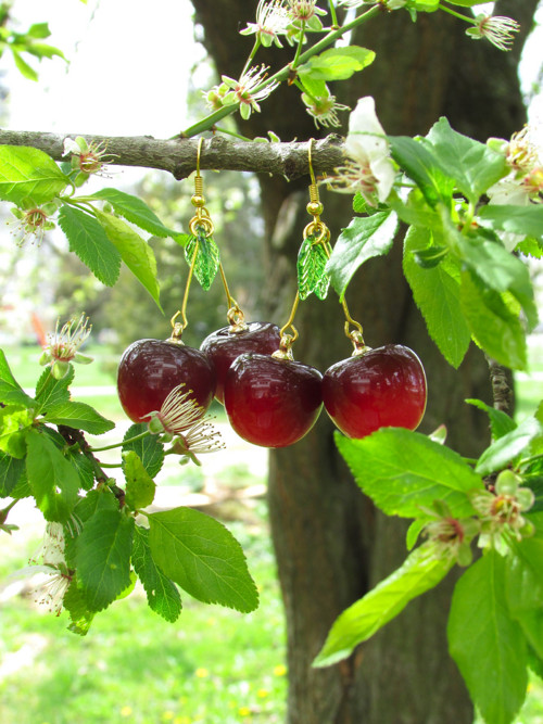 Třešně IV — foto 2