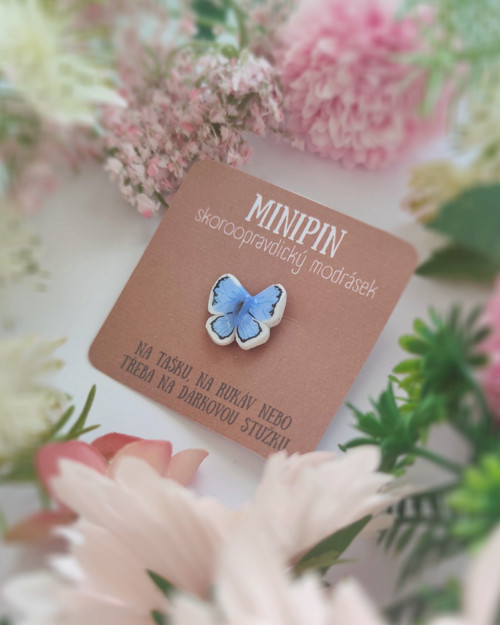 Skoroopravdický modrásek | minipin — foto 2