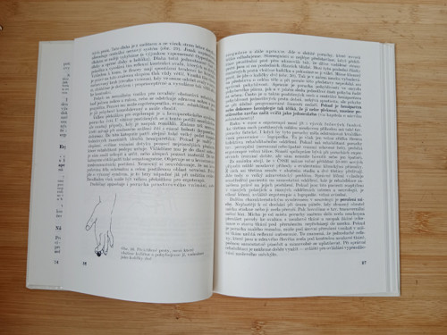 Ergoterapie II Jan Pfeiffer — foto 4