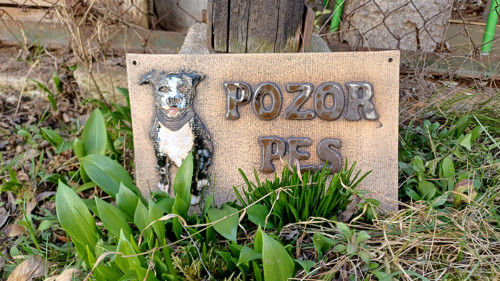 Pozor pes — foto 6