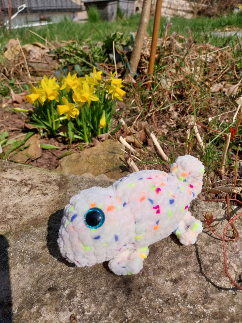 Chameleon — foto 4