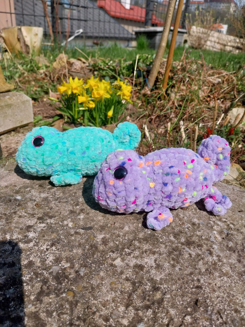 Chameleon — foto 6