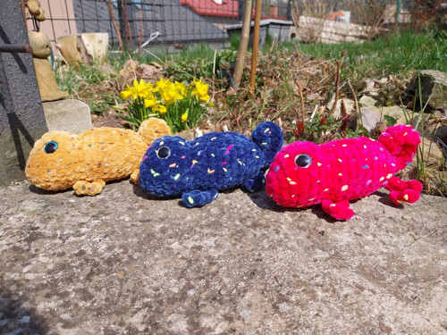 Chameleon — foto 6