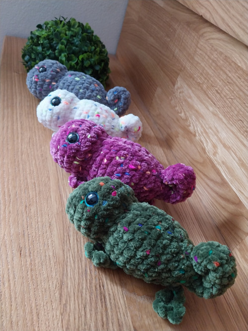 Chameleon — foto 2