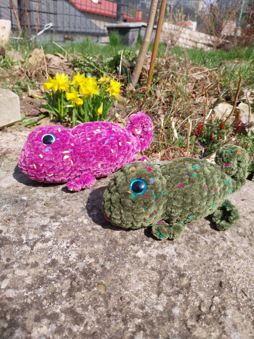 Chameleon — foto 6