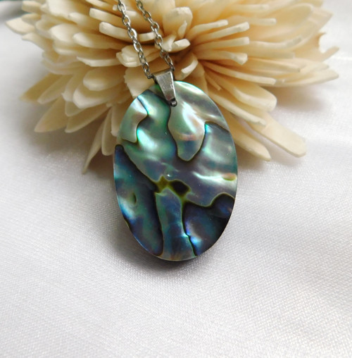 Paua mušla / abalone — foto 3