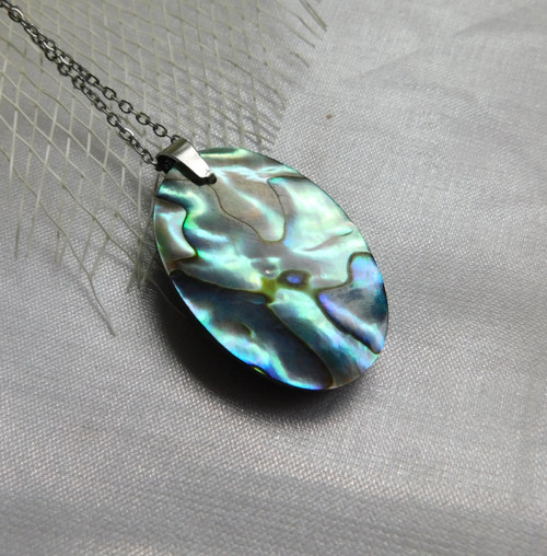 Paua mušla / abalone — foto 2