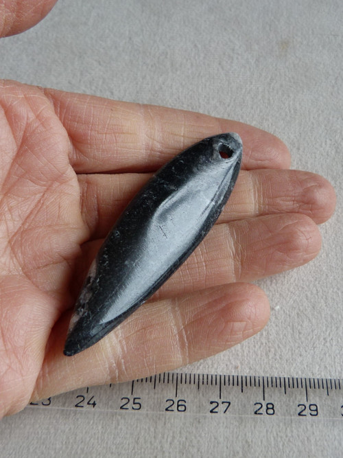 Orthoceras vrtaný - 7 cm — foto 5
