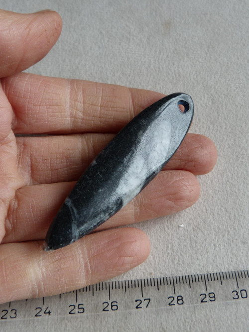 Orthoceras vrtaný - 6,9 cm — foto 5