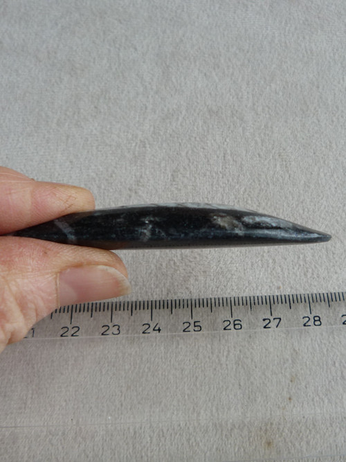 Orthoceras vrtaný - 6,9 cm — foto 6