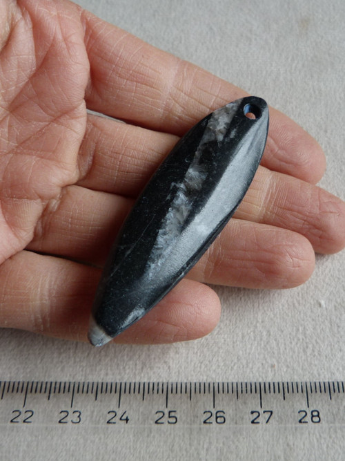 Orthoceras vrtaný - 6,8 cm — foto 3