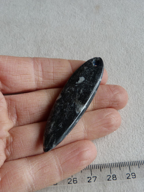 Orthoceras vrtaný - 6 cm — foto 6