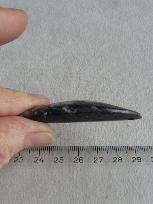 Orthoceras vrtaný - 5,8 cm — foto 6