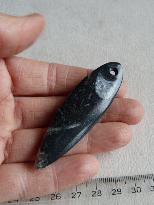 Orthoceras vrtaný - 6,7 cm — foto 3