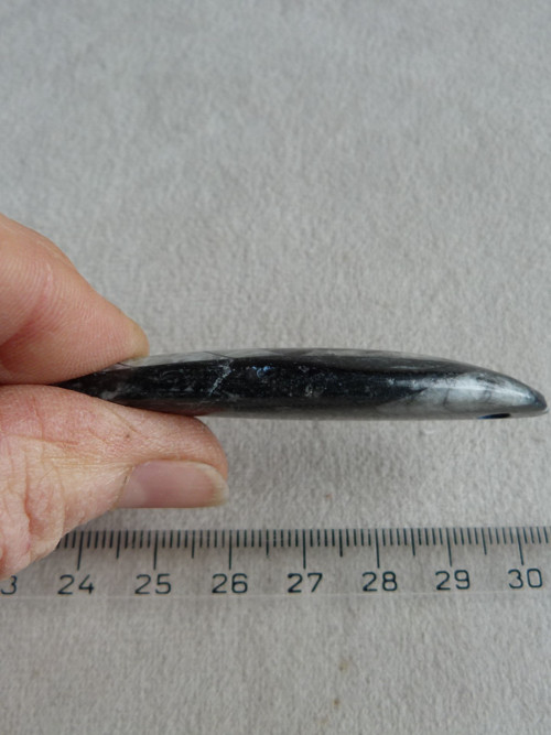 Orthoceras vrtaný - 6,4 cm — foto 6