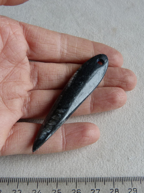Orthoceras vrtaný - 7 cm — foto 5