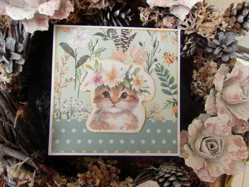 Kitty — foto 4
