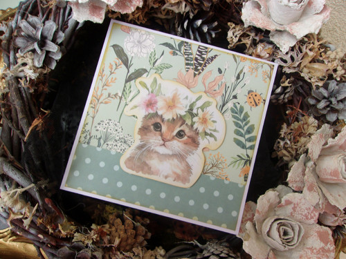 Kitty — foto 3