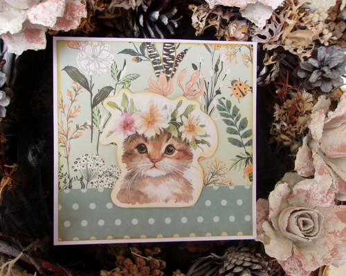 Kitty — foto 2
