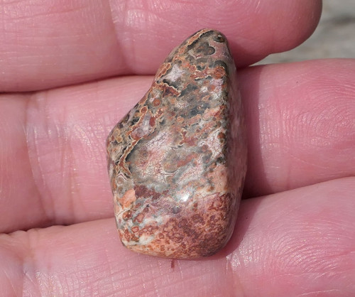 Jaspis leopardí V3789 — foto 2