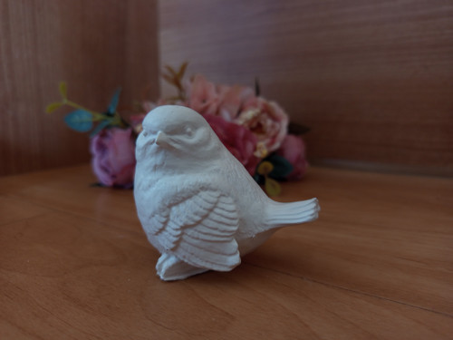 Ptáček 3D — foto 2
