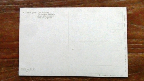 Dva holoubci — foto 3