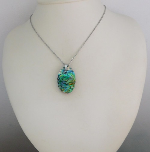 Paua mušla / abalone — foto 5