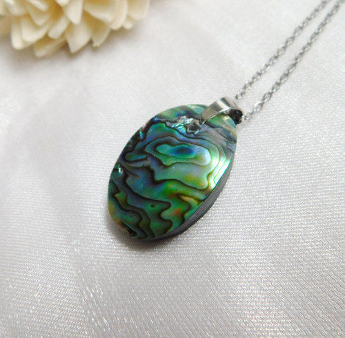 Paua mušla / abalone — foto 3