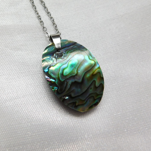 Paua mušla / abalone — foto 2