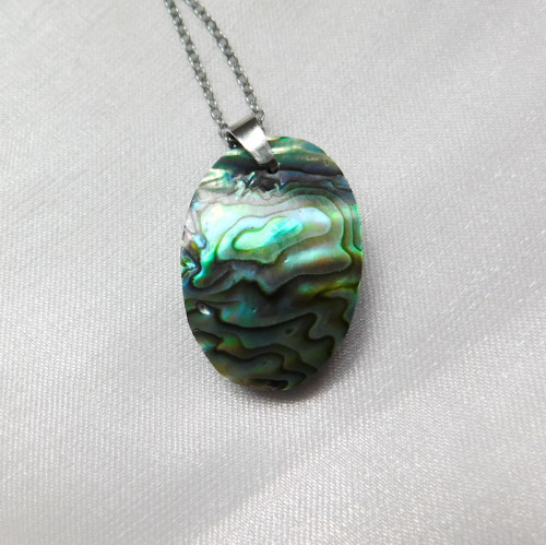 Paua mušla / abalone — foto 4