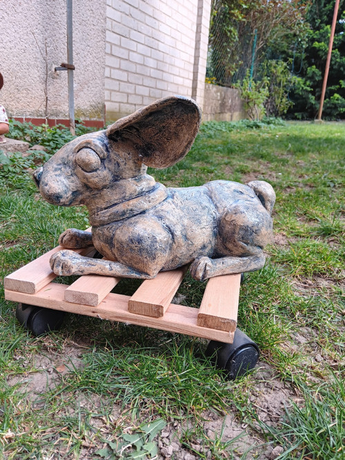Zajíc — foto 3