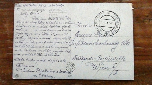 Čekání — foto 3